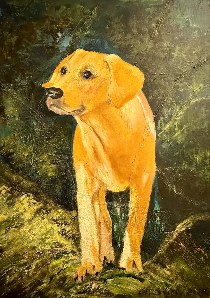 a8012573-ffab-46c9-bc0e-689128496530